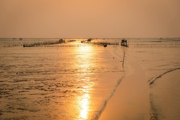 Évadez-vous en parapente à la plagne : sensations garanties !